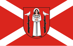 POL Golub-Dobrzyń flag